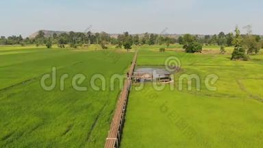 在<strong>清新</strong>自然的稻田里，无人机拍摄<strong>复古</strong>与老竹桥的鸟瞰风景，古老的乡村